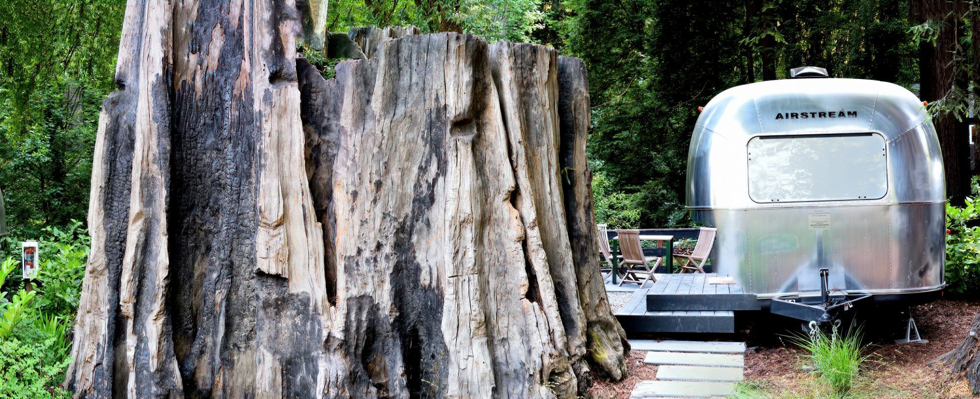 Redwood Stump With Airstream, United States – barked