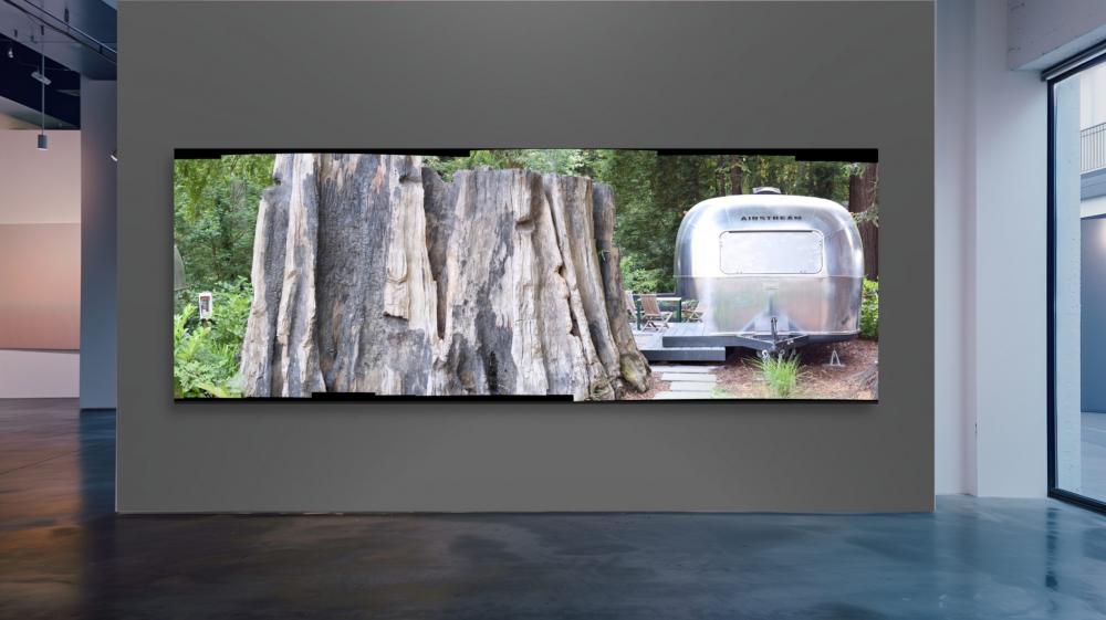 Barked-Gallery Wall-California-Redwood Stump-Airstream