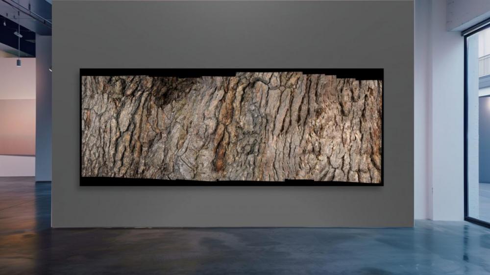 Barked-Gallery Wall-Lebanon-Lebanese Cedar