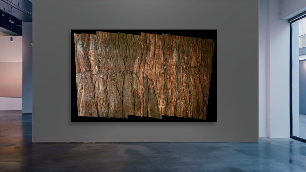 Barked-Gallery Wall-Mexico-Montezuma Cypress