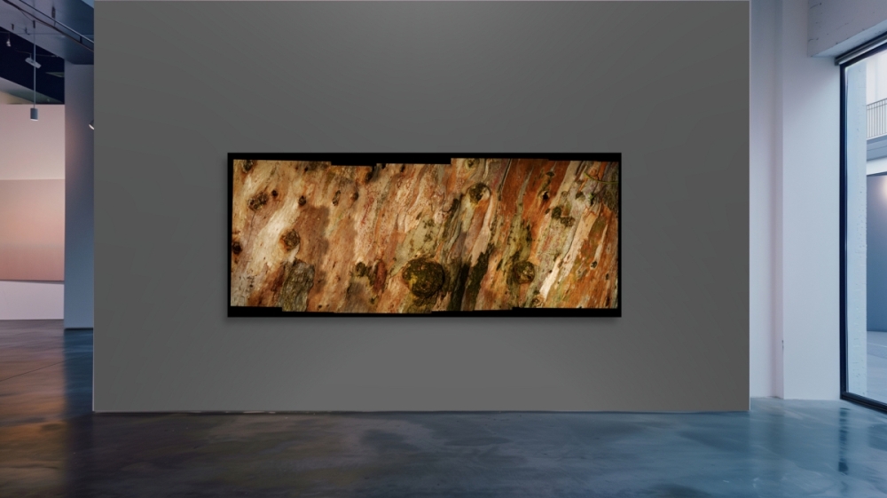 Barked-Gallery-California-Cypress