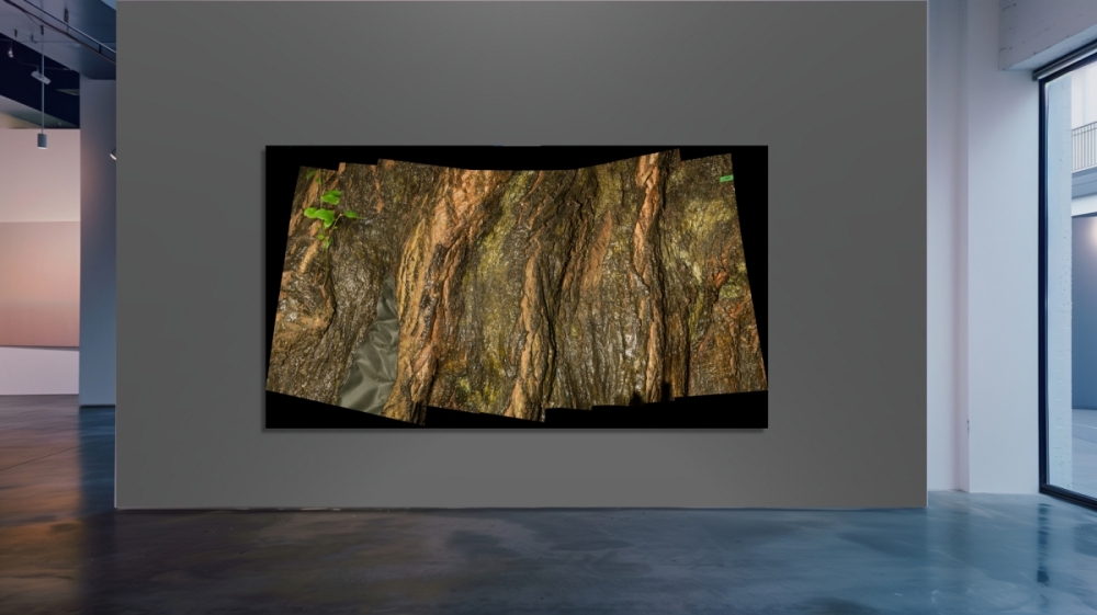 Barked-Gallery-Japan-Chinquapin