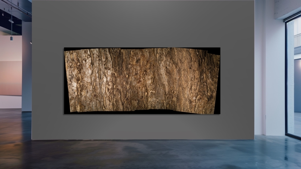 Barked-Gallery-Wall-Japan-Camphor