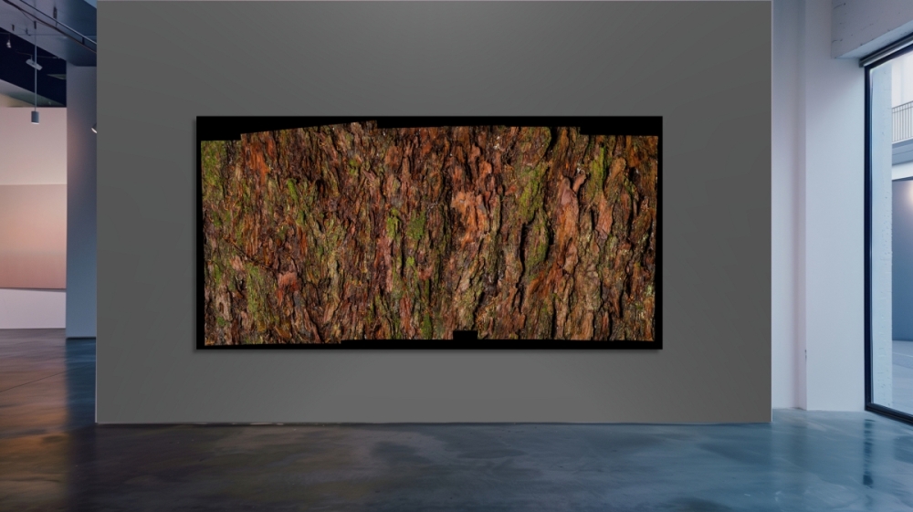 Barked-Gallery-Wall-Douglas-Fir